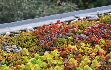 the cost of Ayot St Peter green roof installation